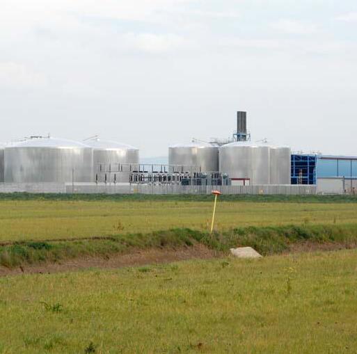 Una veduta dei terreni interessati dal progetto di centrale agri fotovoltaica al confine con la centrale a biomasse di Montegemoli (foto Paolo Barlettani)