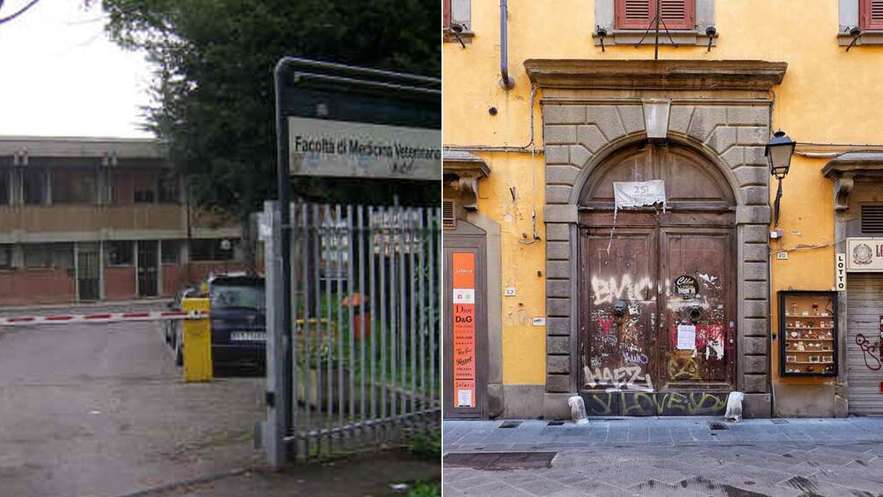 L’ingresso della sede di San Piero a Grado del dipartimento di Scienze veterinarie a destra il portone di Palazzo Mastiani in Corso Italia