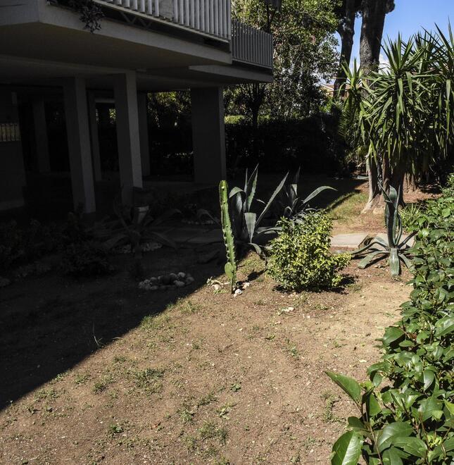 Giardini a secco della zona di Verde Maremma e i tubi del pozzo accatastati in attesa di tornare in funzione (foto Agenzia Bf)