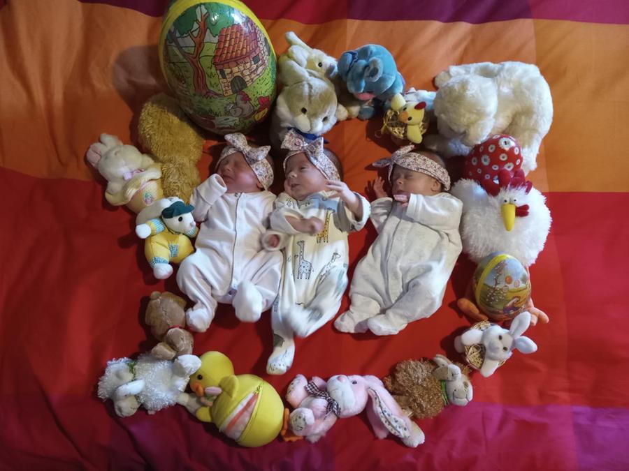 Livorno, parto record di tre gemelle: «Ecco la nostra nuova vita»