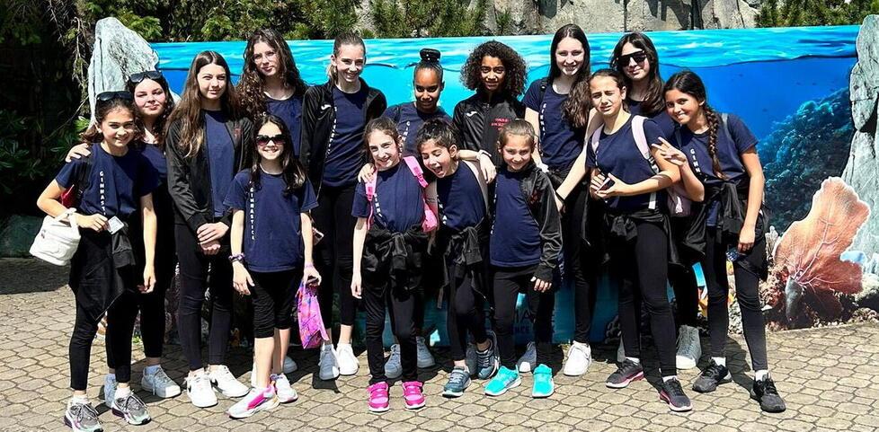 Brillano a Rimini le ginnaste camaioresi 