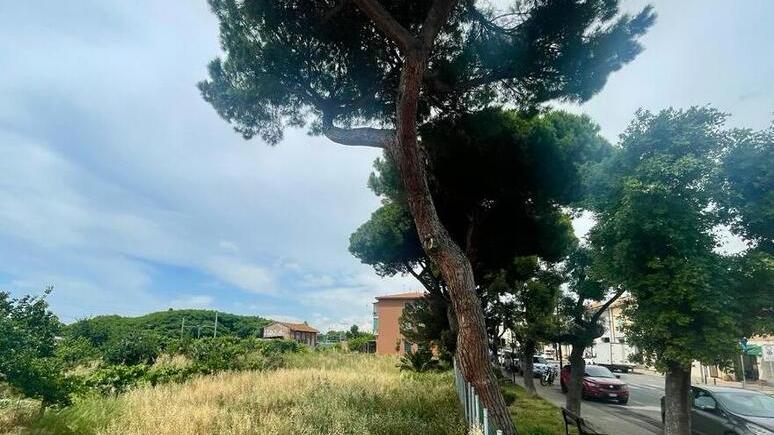 Mercato verso il trasloco nelle aree cedute da Rfi