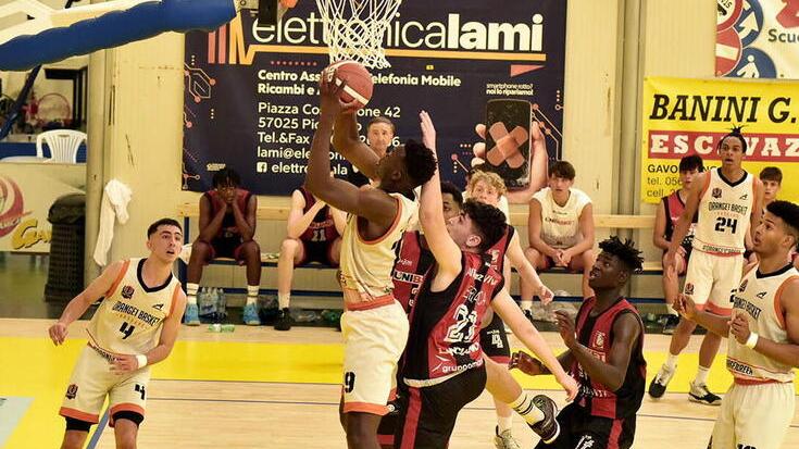 Sul parquet è subito uno spettacolo. Bassano soffre, la Stella Azzurra no<br>