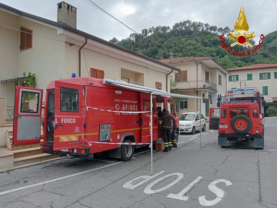 Disperso cercatore di funghi