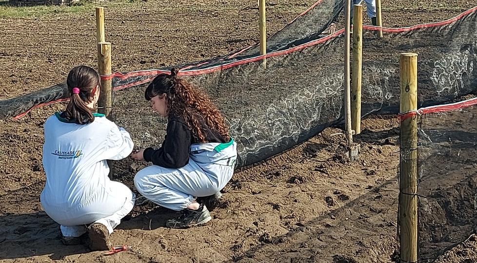 Finale, una start up per allevare chiocciole all’istituto Calvi