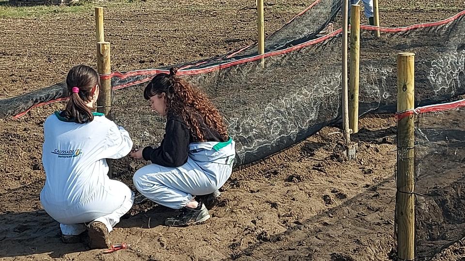 Finale, una start up per allevare chiocciole all’istituto Calvi