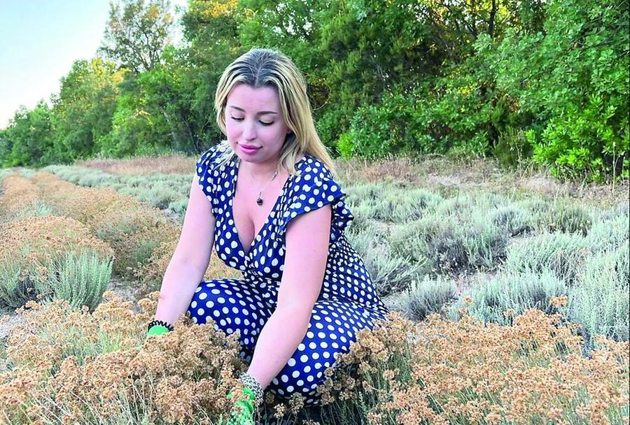 Dall’ufficio ai campi di Aggius: l’elicriso è l’oro di Francesca