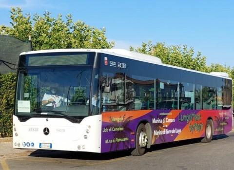 Un bus notturno fino in Versilia, torna Lungomare by night