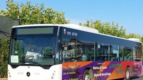 Un bus notturno fino in Versilia, torna Lungomare by night