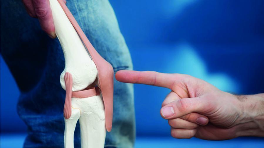Gruppo Vasari. Una terapia innovativa per la cura dell’artrosi