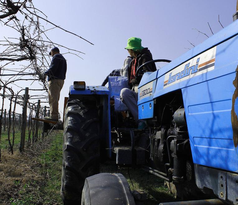 L’Ovile celebra il suo trentennale superando i 16 milioni di fatturato