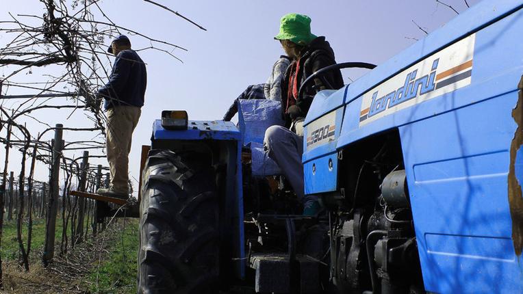 L’Ovile celebra il suo trentennale superando i 16 milioni di fatturato