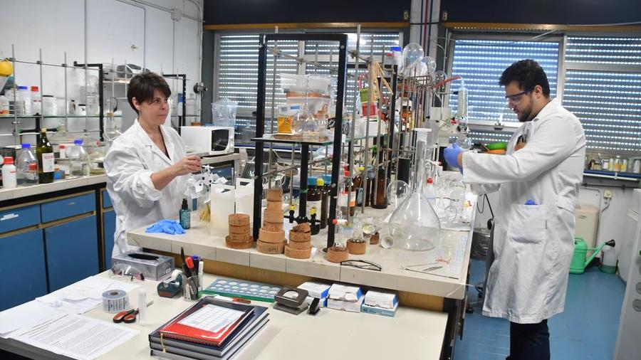 Due corsi di studio nell’area della Chimica e due in quella delle Scienze naturali