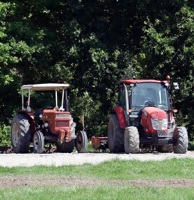 Ferrara, gli ambientalisti: «Danni gravi al Parco urbano, basta grandi eventi»