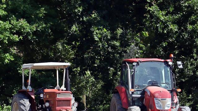 Ferrara, gli ambientalisti: «Danni gravi al Parco urbano, basta grandi eventi»