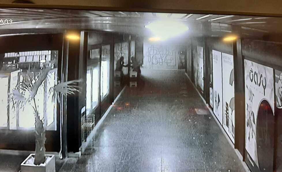 Ladri alla Gelateria 90, la disperazione del titolare: «Hanno devastato tutto»