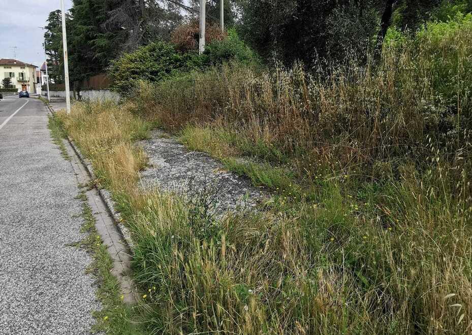 Prato, topi e serpenti vicini alle case: il campo diventa una “giungla”