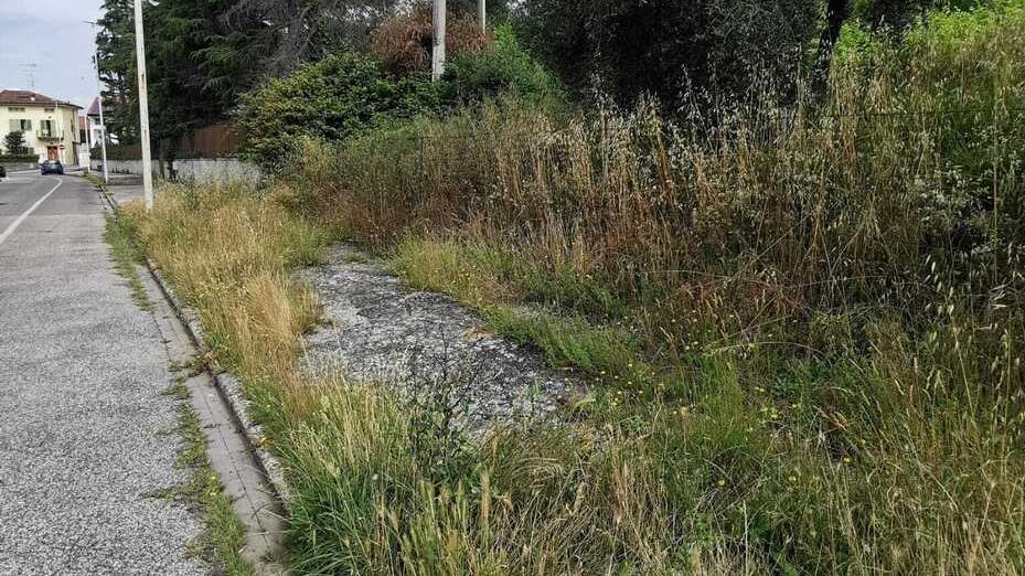 Prato, topi e serpenti vicini alle case: il campo diventa una “giungla”