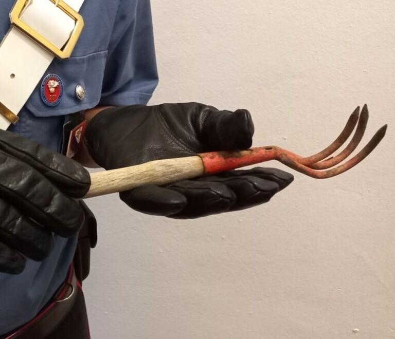 Piombino, dà in escandescenze in centro: arrestata 23enne con l’uso del taser