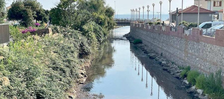 
	Il tratto finale del torrente Petraia a Follonica finito nel mirino del consigliere comunale di FdI Danilo Baietti (foto Giorgio)

