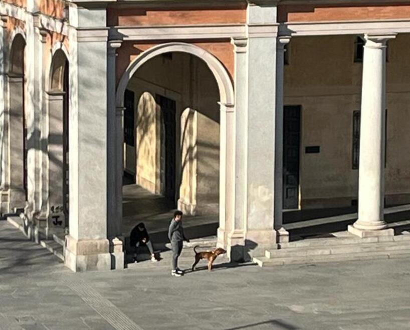 «La banda dell’Amstaff è tornata Assistiamo anche a casi di spaccio»