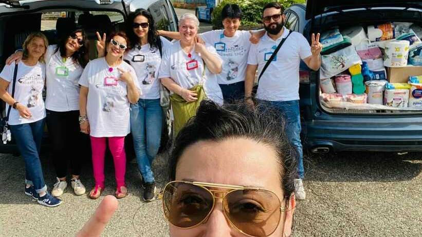 Un carico di aiuti per i gatti da Sant’Ilario alla Romagna