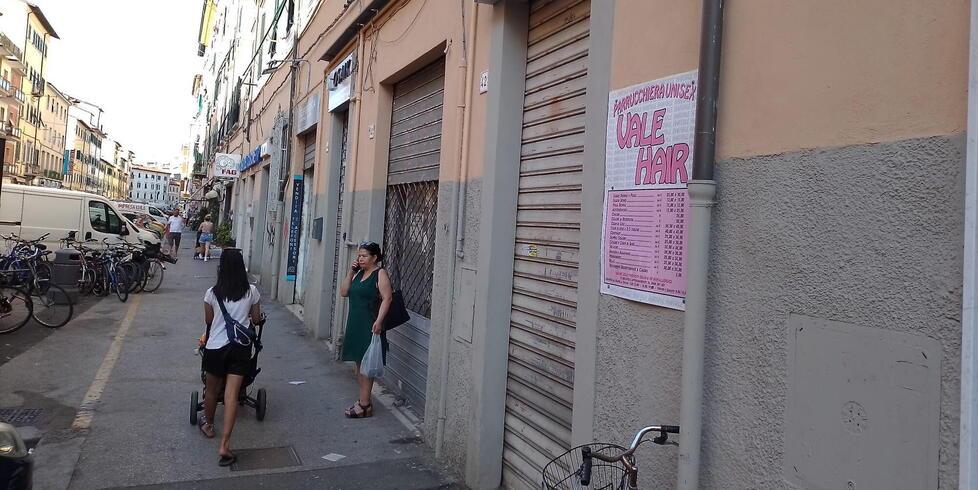 Livorno, l’esercito di blatte in via Garibaldi: disagio per negozi ed abitazioni