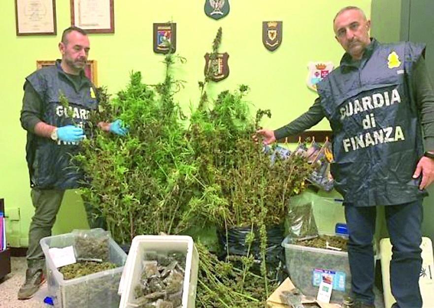 Montopoli, arrestato per traffico di droga: nel garage aveva 230 kg di canapa<br>
