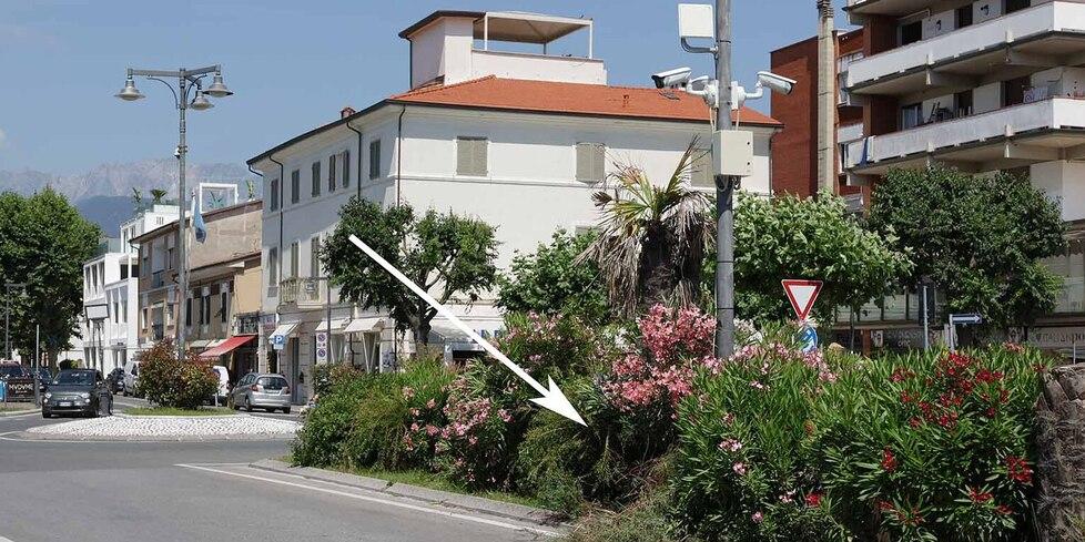 Massa, a tutta velocità e ubriaco rischia di investire una famiglia poi si schianta contro una palma