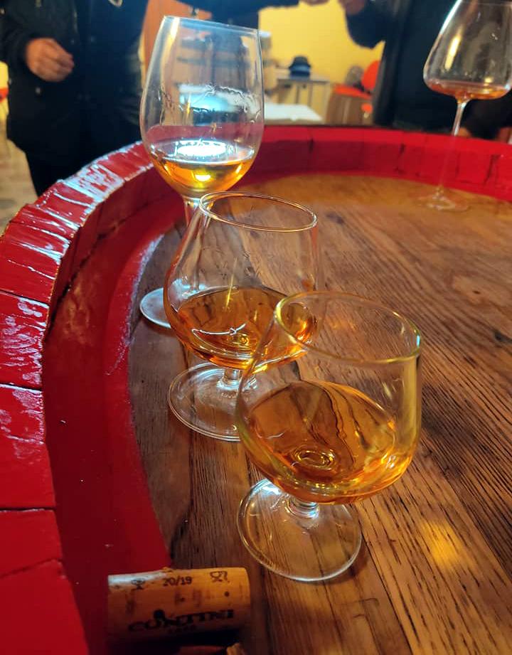 
	Vernaccia, l'oro giallo dell'oristanese


