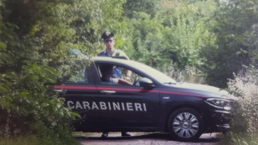 Delitto Alice Neri, a Fossa nuova ispezione dei carabinieri