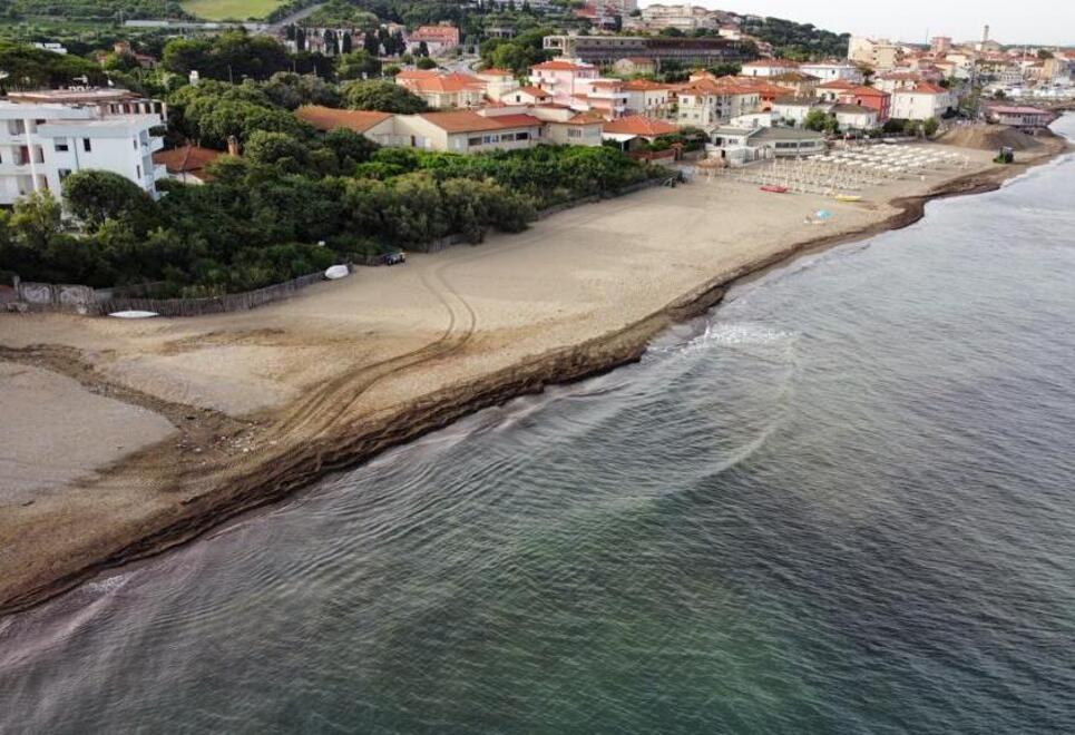 San Vincenzo, altra posidonia sulla spiaggia: il Comune prova a rimediare