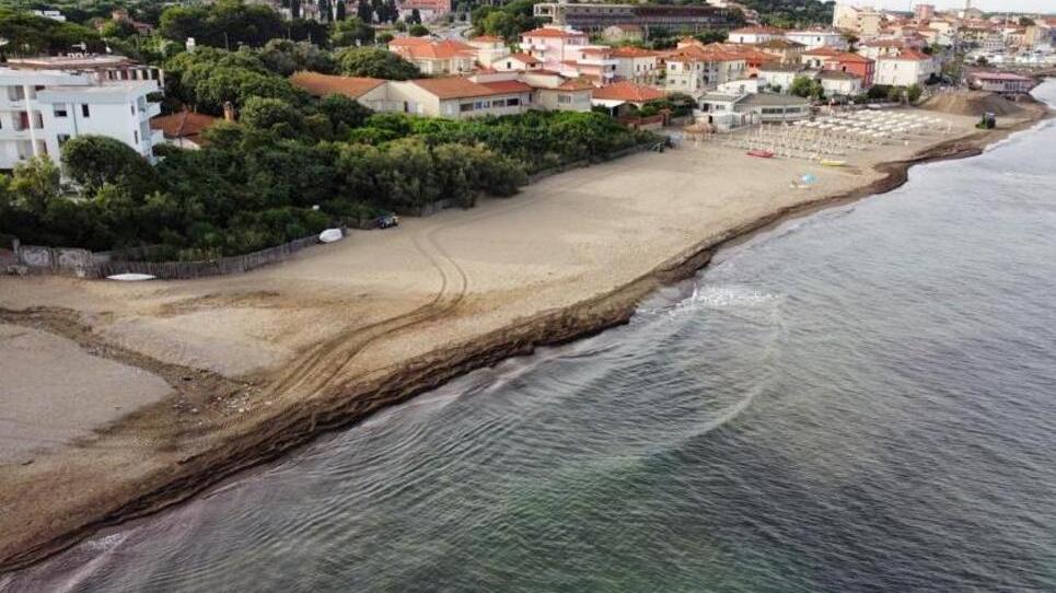 San Vincenzo, altra posidonia sulla spiaggia: il Comune prova a rimediare