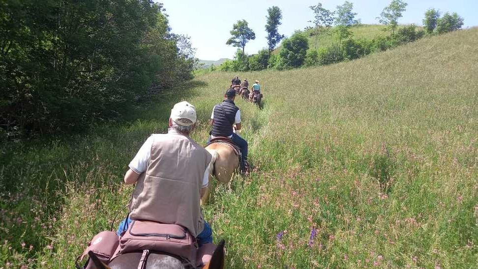 I cavalieri si ritrovano sui nostri Cammini e sfilano in corteo fino a piazza Duomo