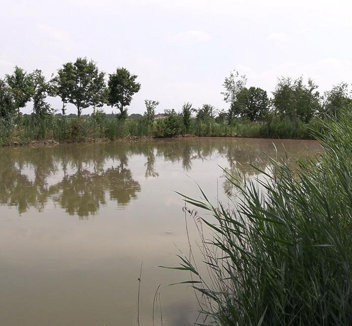 Alice, finite le ricerche nei laghi: «La Procura segue solo una strada» 