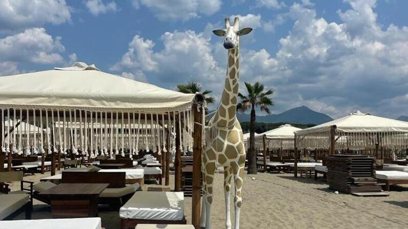 La spiaggia del Twiga dove una tenda nei mesi di luglio e agosto costa cinquecento euro al giorno, oppure tra i dodicimila e i sedicimila euro a stagione