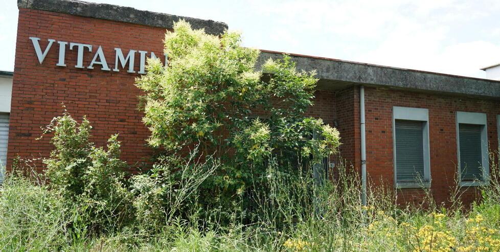 Pontedera, via degrado e pericoli dall’ex fabbrica dismessa