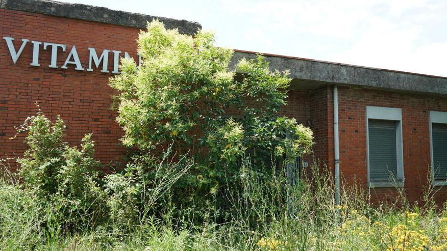 Pontedera, via degrado e pericoli dall’ex fabbrica dismessa