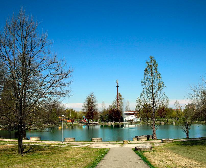 Tutelare gli alberi e i parchi: Modena si dà un regolamento