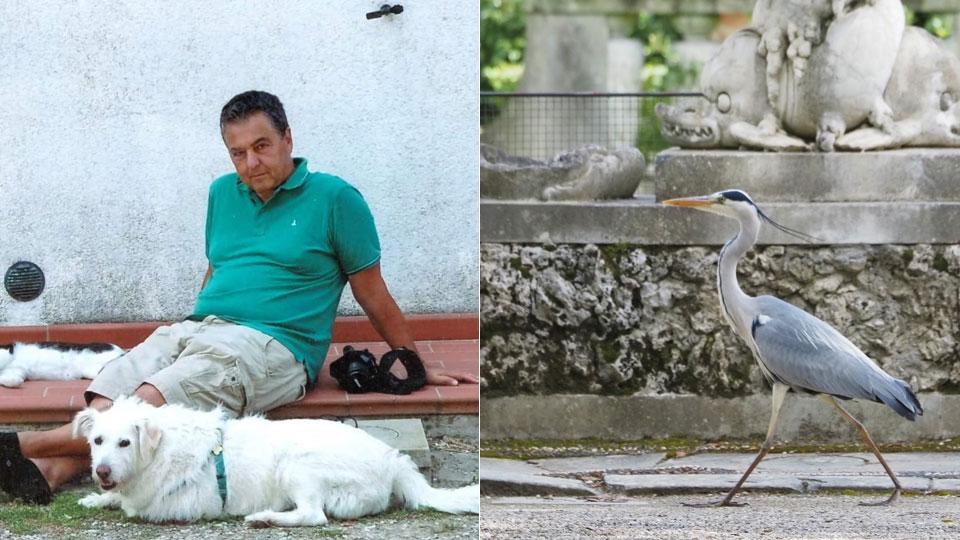 Arte e natura insieme: ecco “Firenze con le ali”, il libro del giornalista Giovanni Ciattini