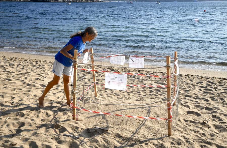 Veronica, missione da tartawatcher: «Vigilo sul nido delle tartarughe»