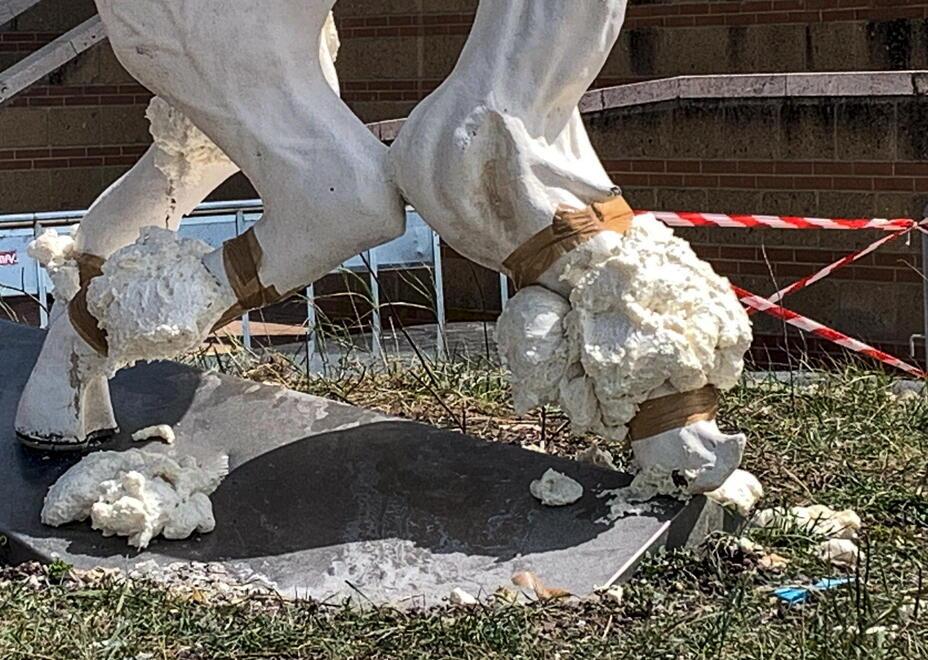 Grosseto, danneggiò la statua del Cavallino: condannato a un anno e tre mesi