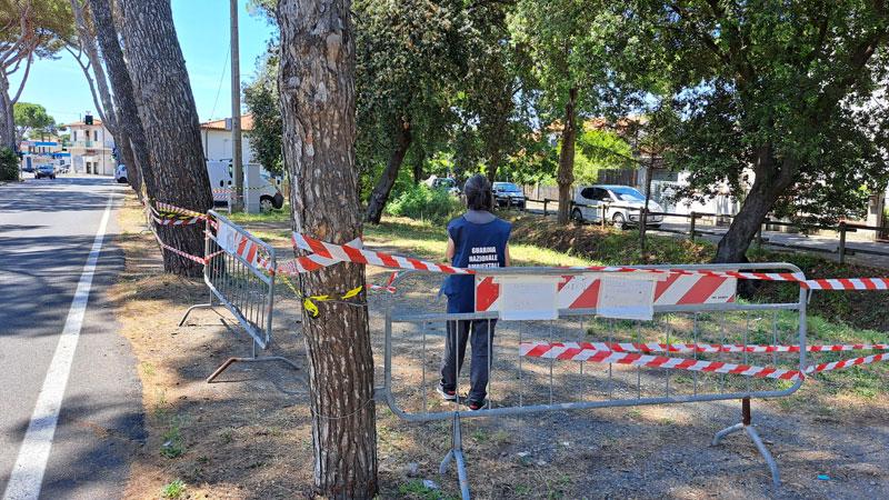 Rosignano, esche velenose e animali morti: è allarme in via della Repubblica