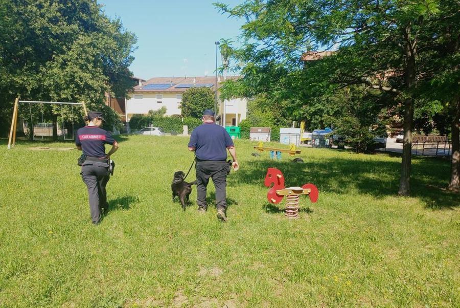 Maranello, in azione il nucleo cinofilo antiveleno