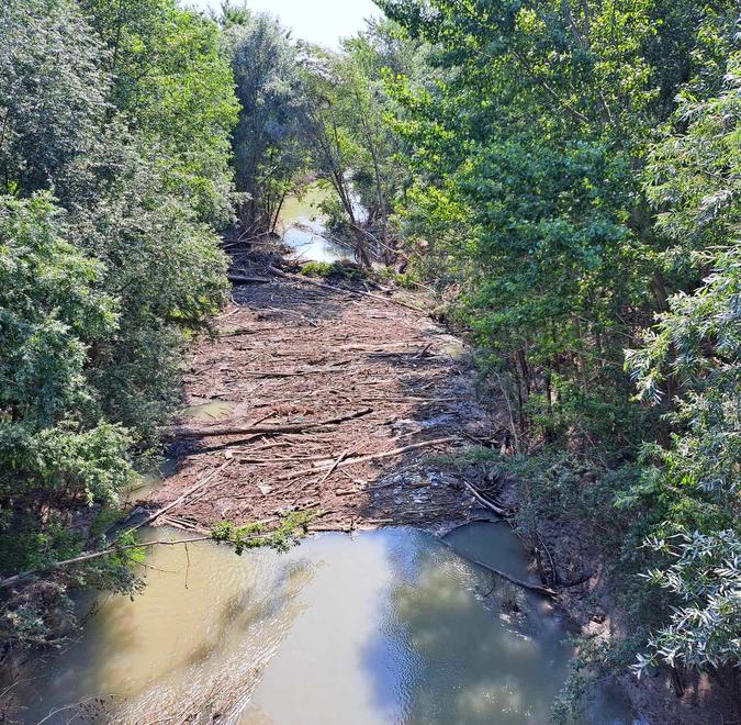 Modena, un tappo di legname ostruisce il Secchia: «È lì da un mese, siamo preoccupati» 