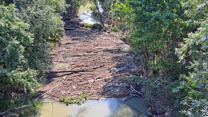 Modena, un tappo di legname ostruisce il Secchia: «È lì da un mese, siamo preoccupati»