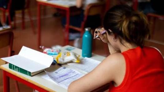 Modena, i genitori di una quindicenne: «Nostra figlia disabile bullizzata a scuola, da Pasqua non è più tornata in classe»<br type="_moz" />