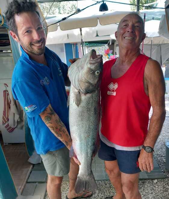 Maxi spigola pescata al largo di Vada: «Che emozione, sono stato premiato!»