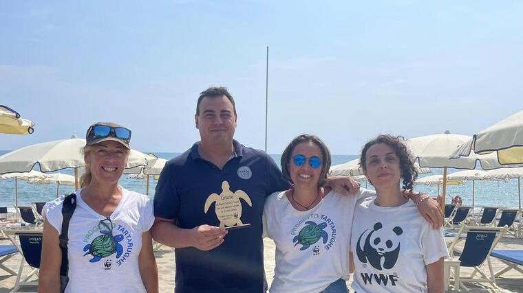 Marina di Massa, piccole tartarughe crescono: in ottanta hanno raggiunto il mare. I bagni premiati