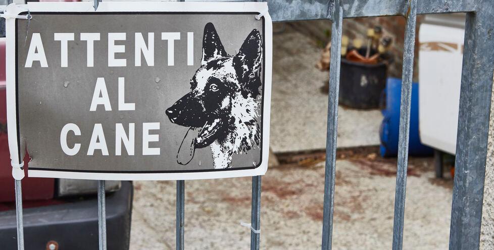 Ferrara, la furia improvvisa del pitbull: aggredita operatrice Cidas